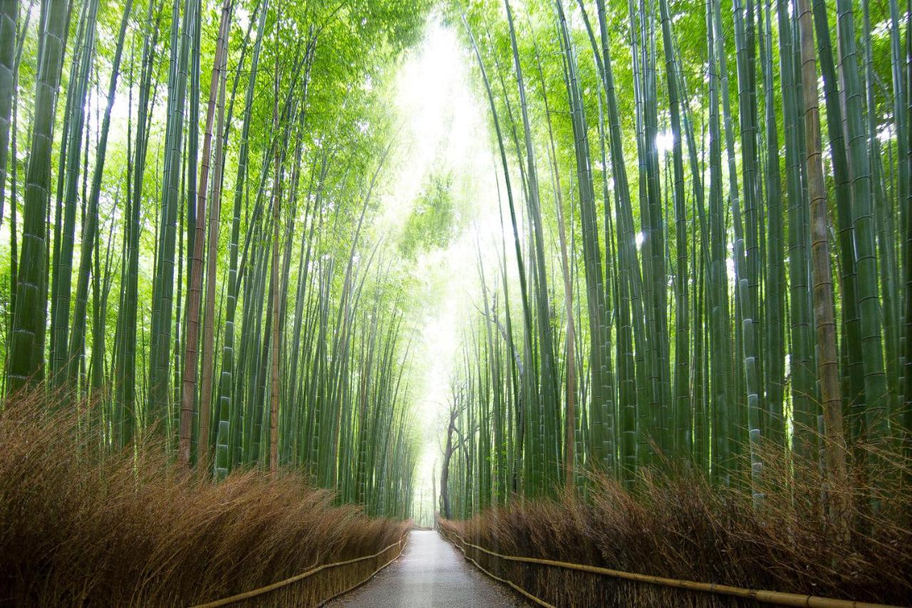 ホテル　ビナリオ嵯峨嵐山